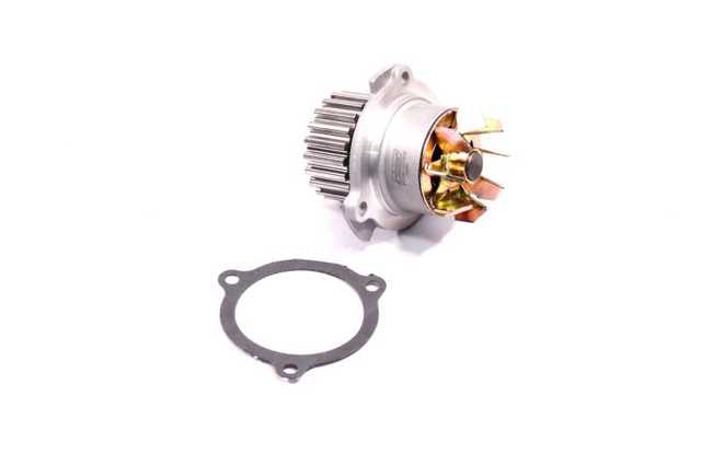 Motor de agua Rider 211141307010
