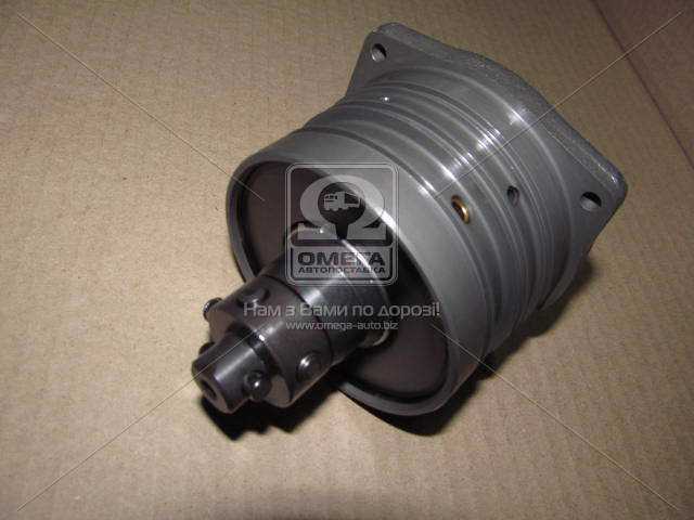 Elemento de émbolo de la bomba de inyección Bosch 1468434056 precio, desde 824,17 EUR