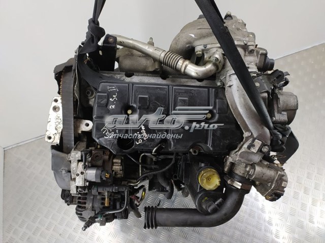 Comprar F9Q803 Renault (RVI) Motor completo