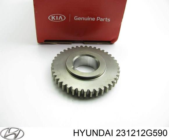 231212G590 Hyundai/Kia rueda dentada, cigüeñal