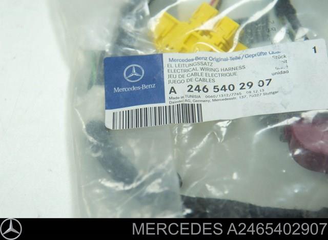 A2465402907 Mercedes