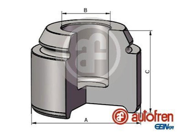 D025569 Autofren émbolo, pinza del freno delantera