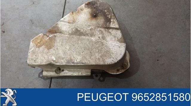  9652851580 Peugeot/Citroen