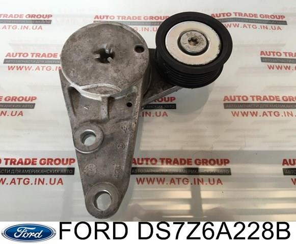  Tensor de correa poli V Ford Fiesta 