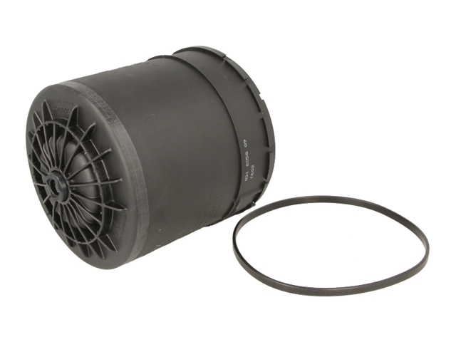 Filtro del desecador de aire (separador de agua y aceite) (camión) 950310040 Haldex