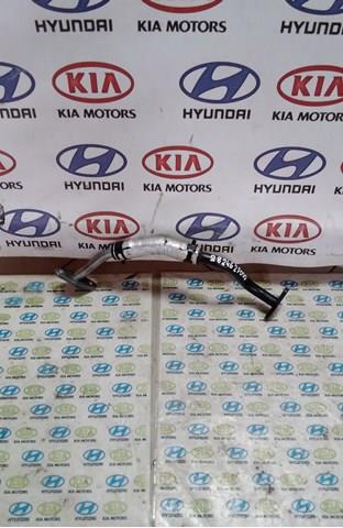 282462F000 Hyundai/Kia