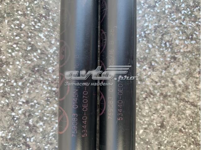 Muelle neumático, tapa delantera FPS FP8157290 precio, desde 23,28 EUR