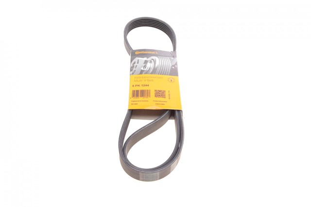 6PK1244 Continental/Siemens Correa poly v