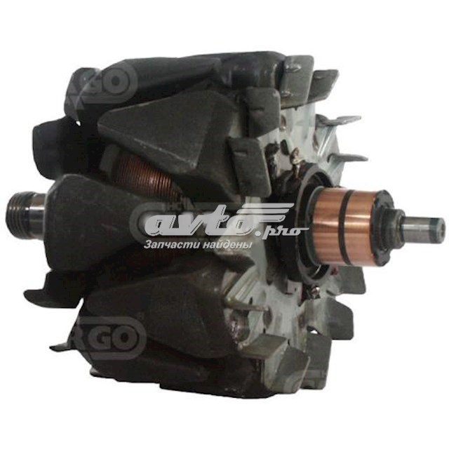 233761 Cargo Rotor del alternador