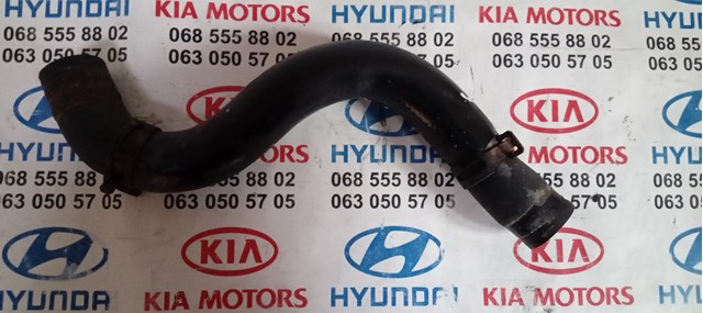 254122P000 Hyundai/Kia tubería de radiador, tuberia flexible calefacción, inferior