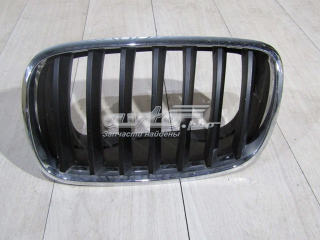 51317157687 BMW panal de radiador izquierda