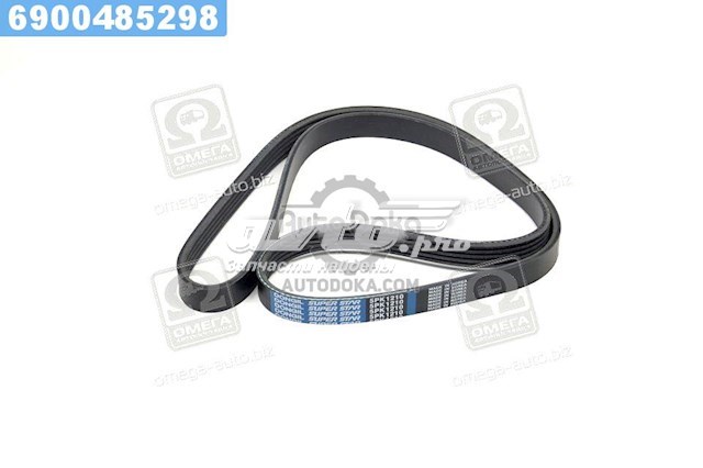 5PK1210 Dongil Correa poly v