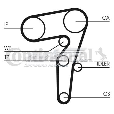 CT1155 Continental/Siemens correa distribucion