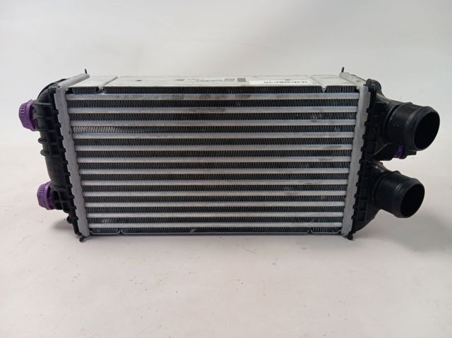Radiador de aire de admisión Fiat/Alfa/Lancia 9824742280 precio, desde 112,17 EUR
