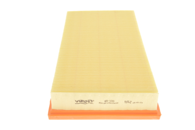 WH100 Wunder Filtro de aire de motor