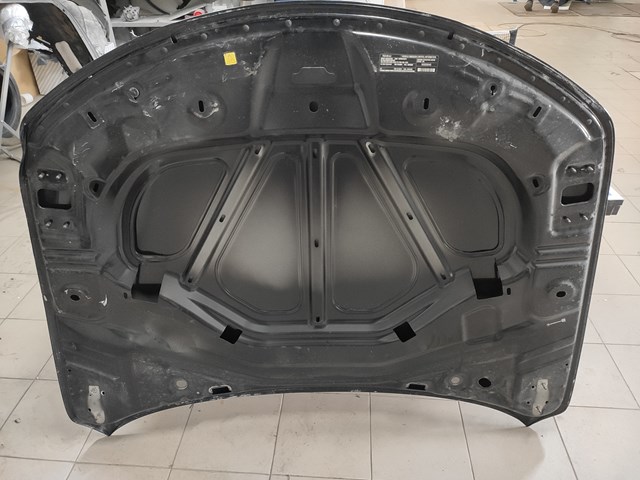 Capó del motor Fiat/Alfa/Lancia 50564154 precio, desde 1039,71 EUR