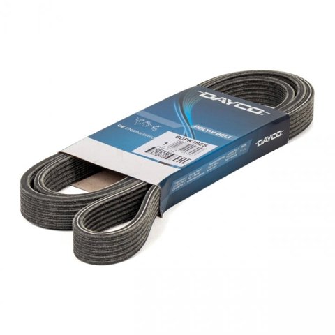 6DPK1825 Dayco Correa poly v