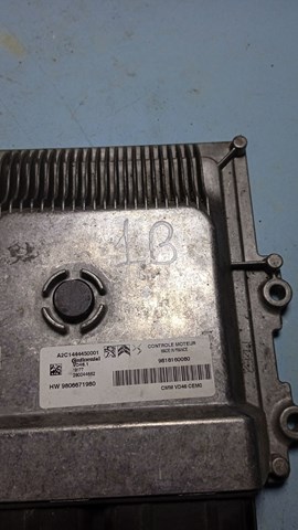 9818160080 Peugeot/Citroen 