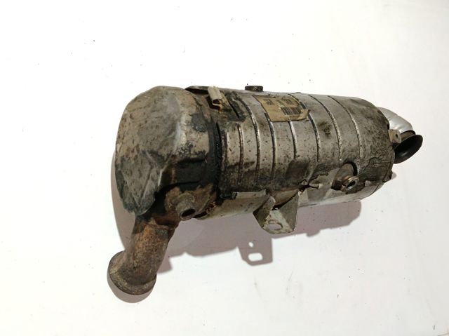9822860580 Peugeot/Citroen Catalizador de gasolina y diésel