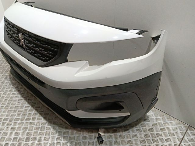 Moldura superior de la parrilla del radiador Peugeot/Citroen 1632654680 precio, desde 275,17 EUR