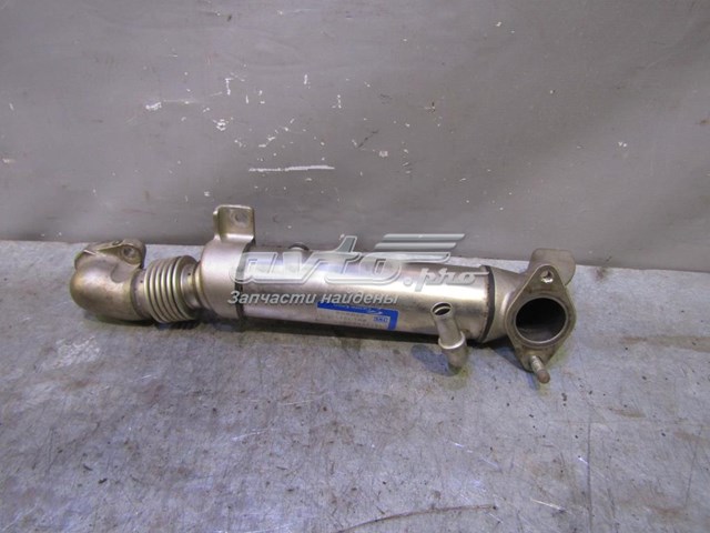 Enfriador EGR de recirculación de gases de escape Honda Accord 7 (CL, CM)