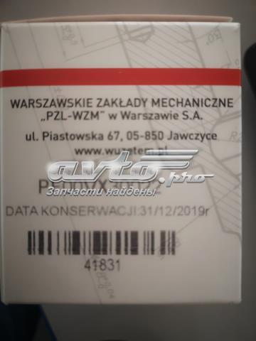 Tobera de inyector diésel Wuzetem PF00VX30022 precio, desde 51,08 EUR