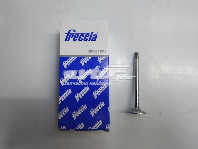 Comprar 6153 Freccia Válvulas de admisión