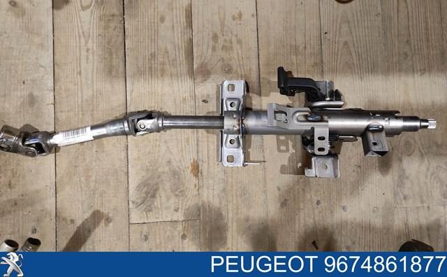Comprar 9674861877 Peugeot/Citroen 