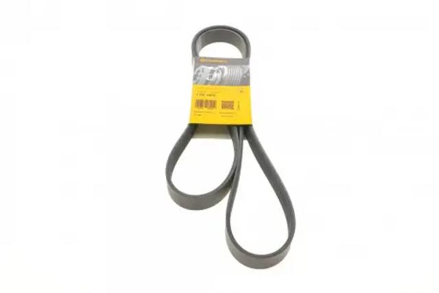 Comprar 7PK1675 Continental/Siemens Correa trapezoidal