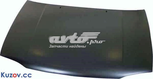Capot FPS FP9522280