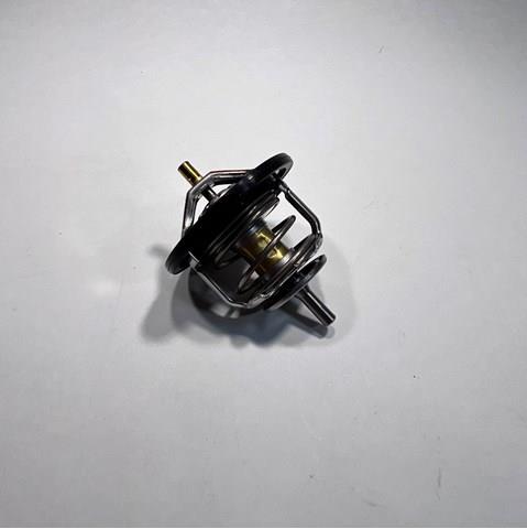 Termostato refrigerante Isuzu 8973007903