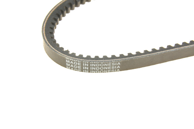 13A0750C Dayco Correa poly v
