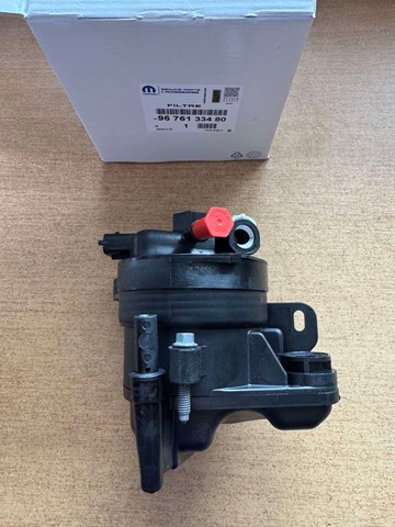 Caja filtros de combustible Peugeot/Citroen 9676133480