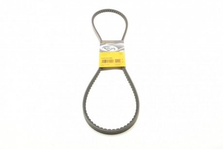 Correa accesorios Continental/Siemens AVX13X1350