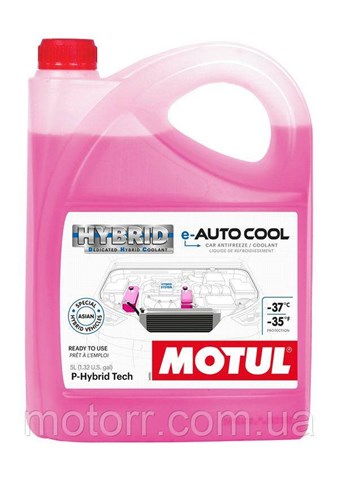 111061 Motul 