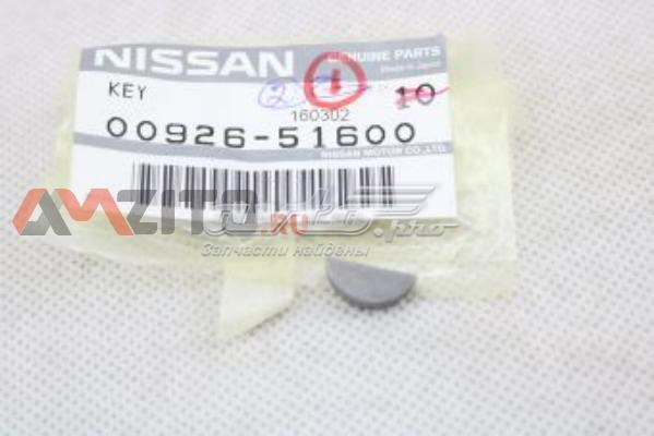 0092651600 Nissan