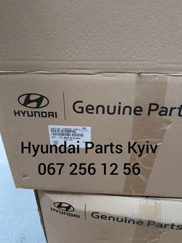 Hyundai/Kia 52910N7300PAC