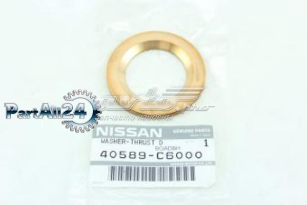 40589C6000 Nissan