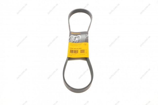 6PK1033ELAST Continental/Siemens Correa poly v