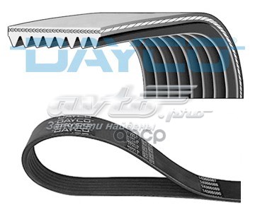 8PK1413HD Dayco