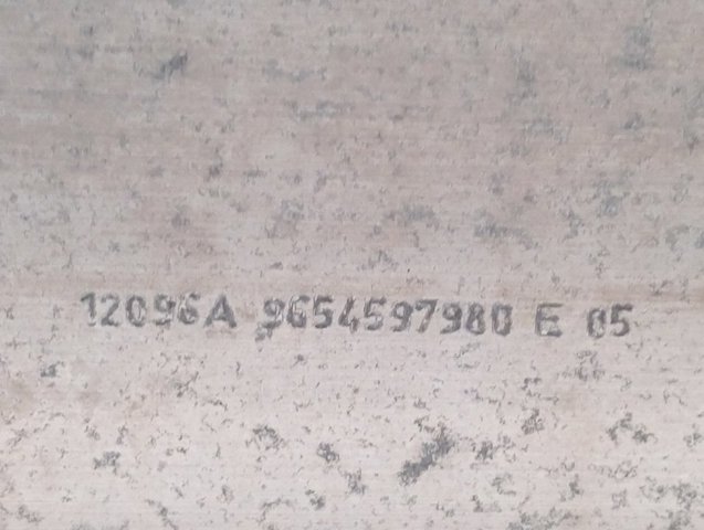 Comprar 9654597980 Peugeot/Citroen 