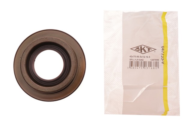 Retén del piñón del diferencial trasero GS6118SKT DP Group
