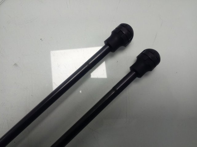 9825534780 Peugeot/Citroen Amortiguador de porton