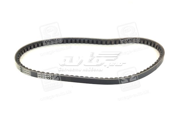 13A0800C Dayco Correa poly v