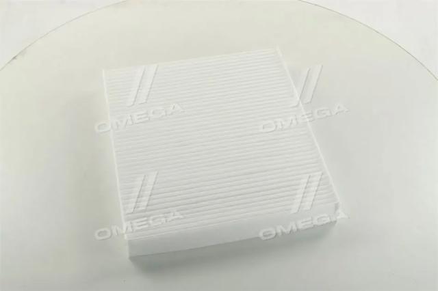 RD61J6WP9037 Rider Filtro antipolen