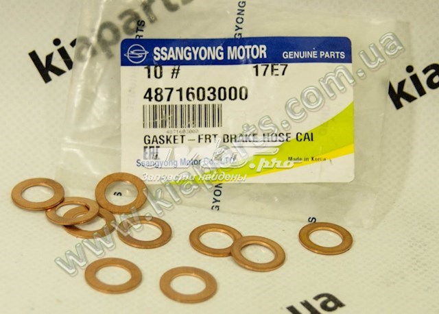 4871603000 Ssang Yong