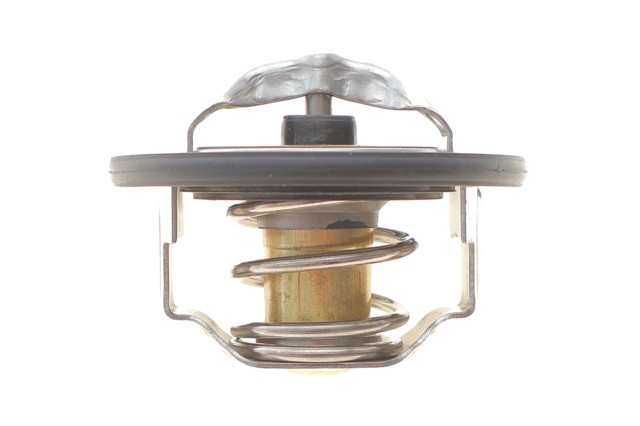 725411 NRF Termostato de agua