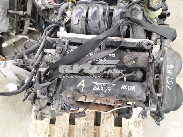 HXDA Ford Motor completo