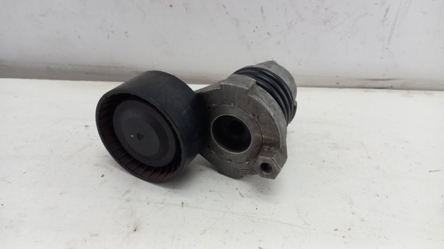 Comprar 117506193R Renault (RVI) Tensor de correa poli V 