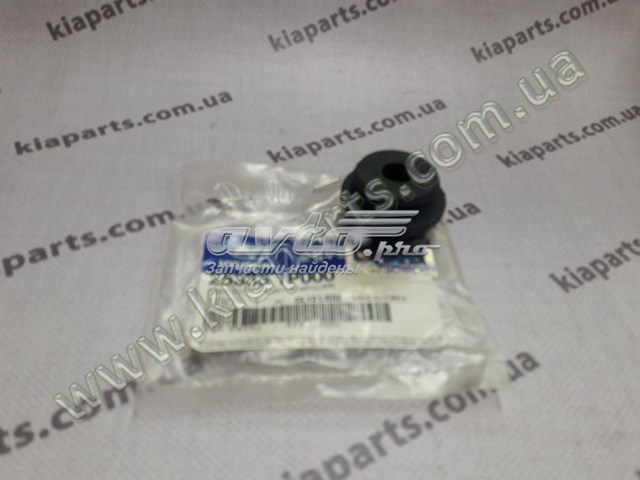 Soporte de montaje, radiador, superior Hyundai I30 (GDH)